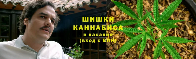 Бошки Шишки Bruce Banner  продажа наркотиков  Петровск-Забайкальский 